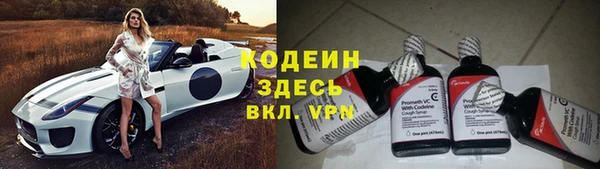 a pvp Бородино