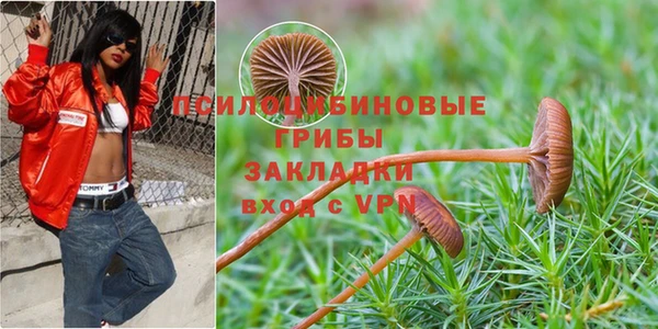 круглые Бронницы