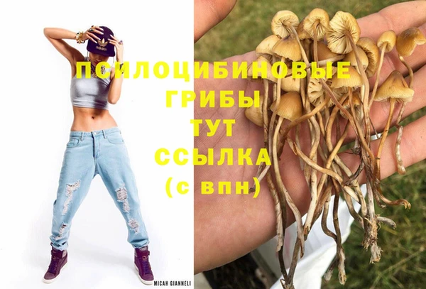 круглые Бронницы
