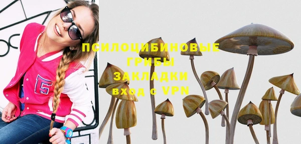 круглые Бронницы