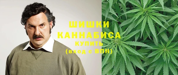 шишки Бугульма