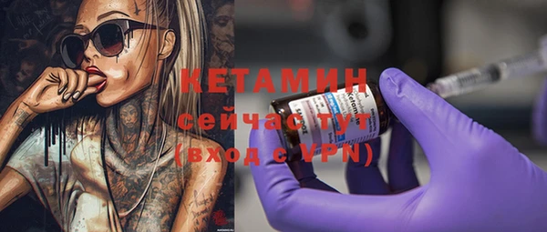 a pvp Бородино